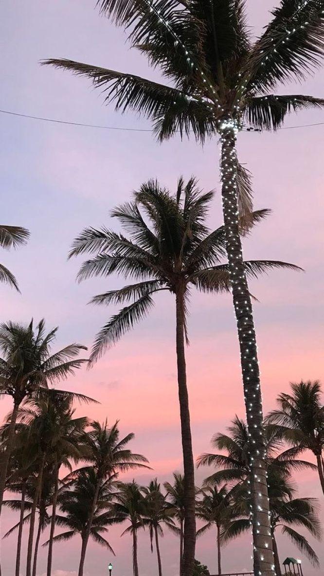 666x1184 Evening sky iPhone wallpaper Wallpaper