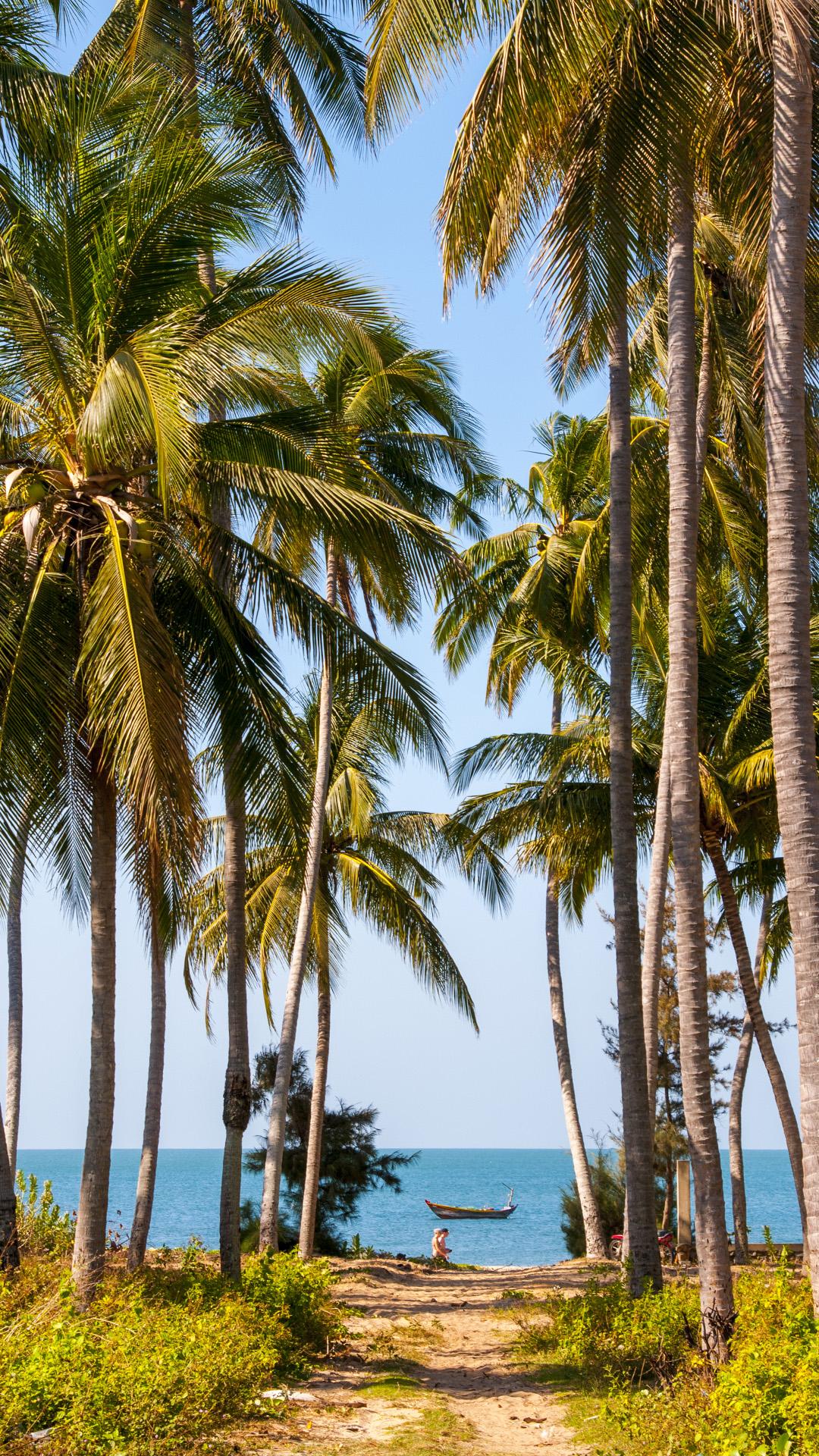 1080x1920 Palm Tree Wallpaper iPhone 8 HD Wallpaper
