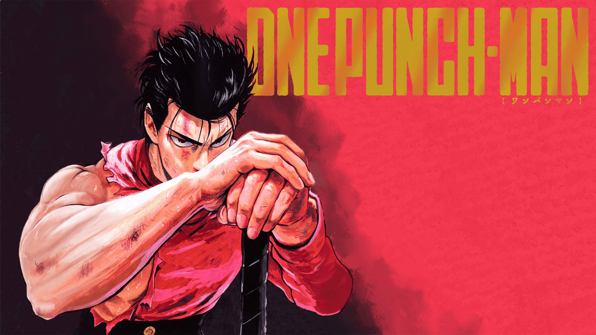 1920x1080 Volume 11 Full Cover Wallpaper. R OnePunchMan. One Punch Man