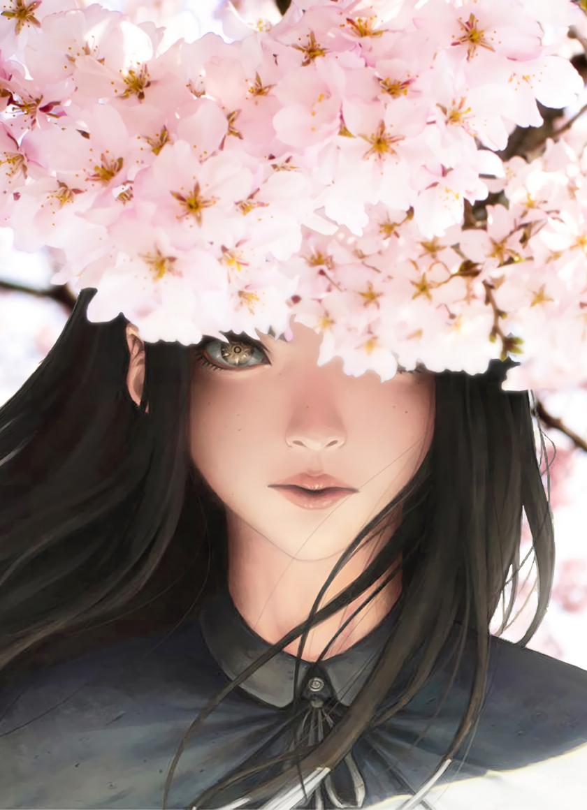 840x1160 Download 840x1160 wallpaper anime girl, original, cherry blossom, sakura, iphone iphone 4s, ipod touch, 840x1160 HD image, background, 6681