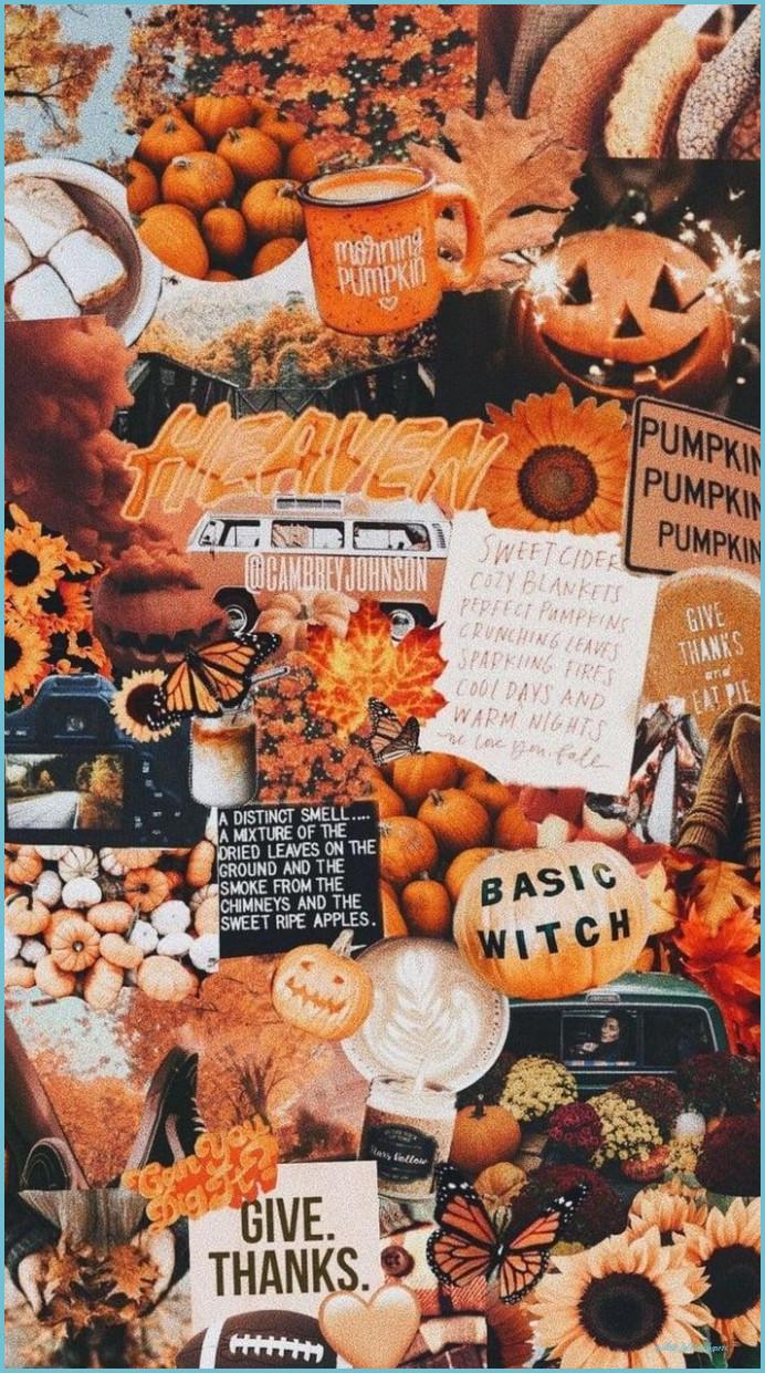 692x1241 Autumn Aesthetic Wallpaper Fall Wallpaper