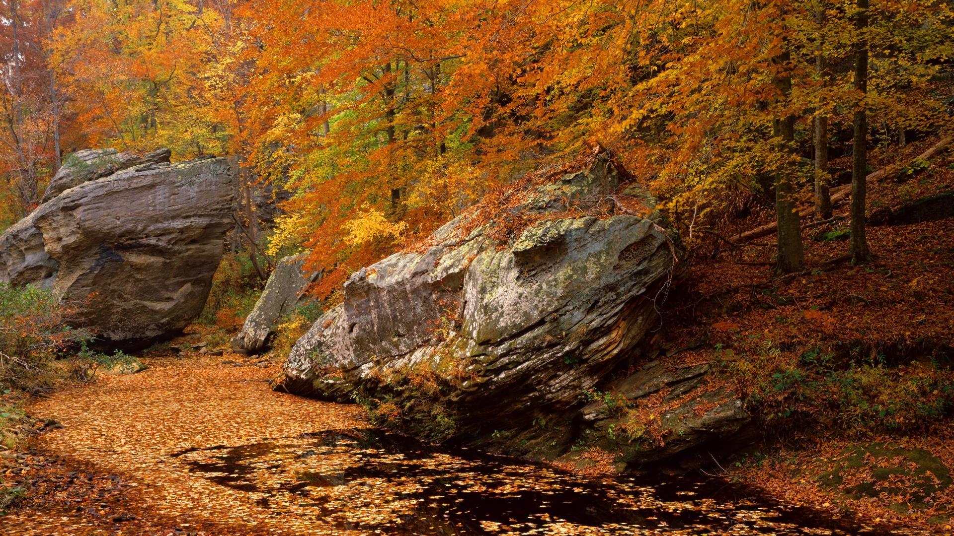 1920x1080 Download Wallpaper, Download 1920x1080 landscapes autumn season forest national illinois smith area 1920x1080 wallpaper People HD Wallpaper, Hi Res People Wallpaper, High Definition Wallpaper