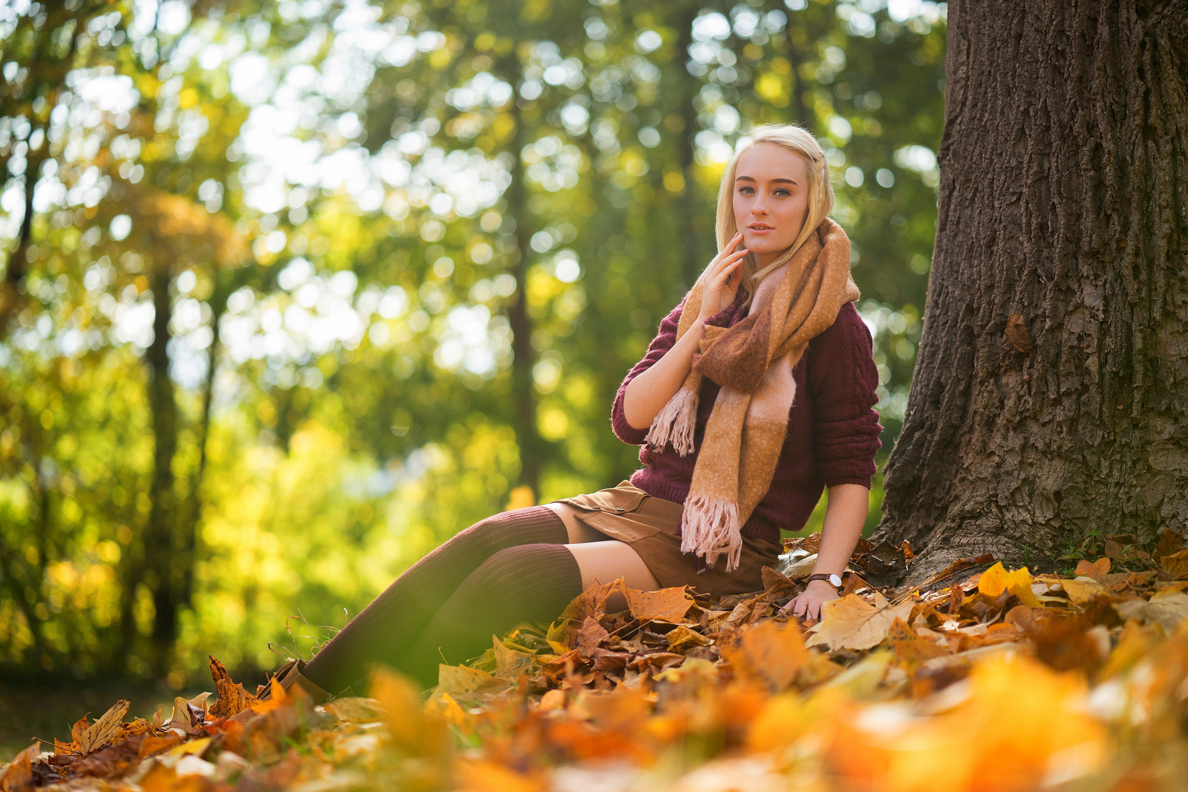 3840x2560 Blonde Girl Sitting Autumn 4k, HD Girls, 4k Wallpaper, Image, Background, Photo and Picture