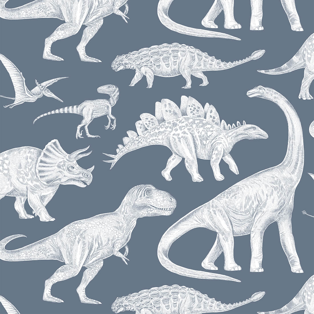 1100x1100 Dino blue > Wallpaper for kids