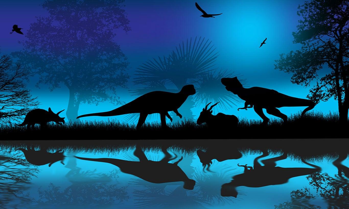 1366x820 Artistic Wall Art