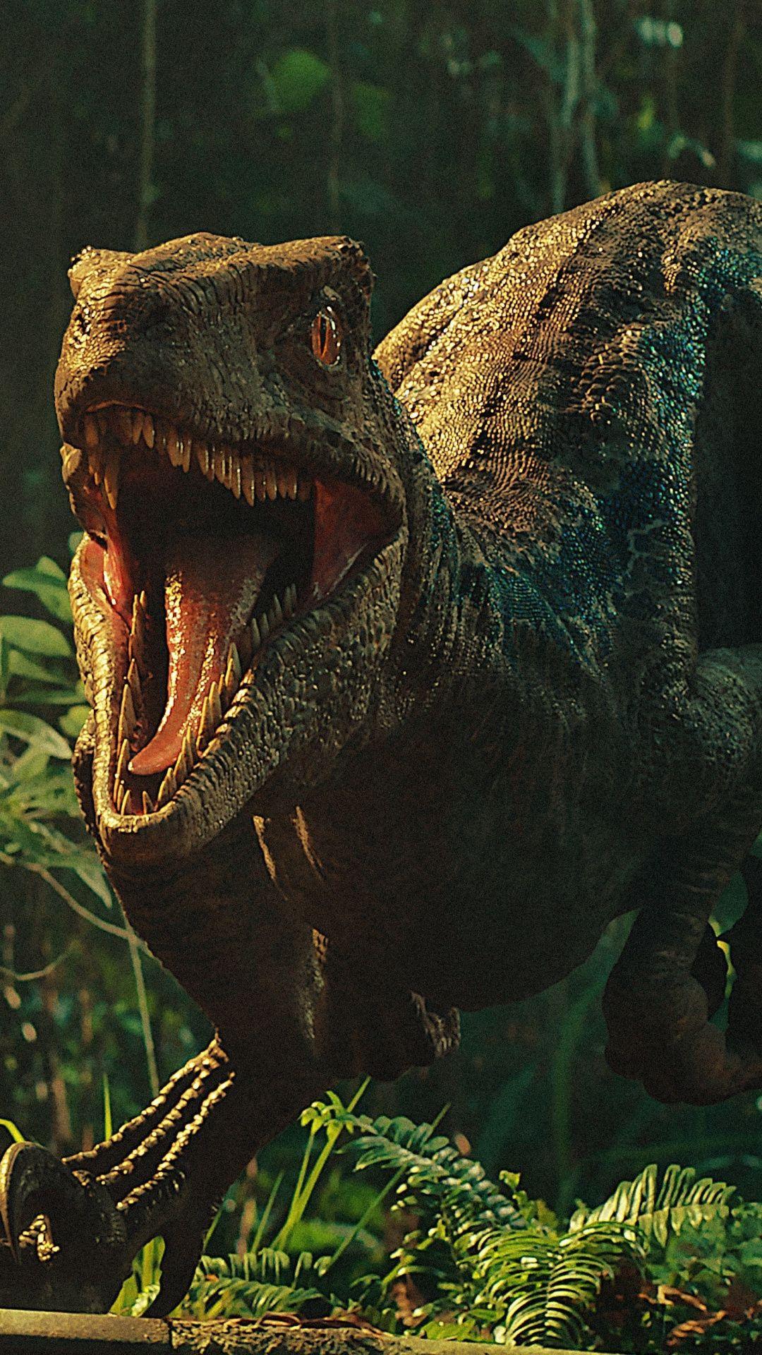 1080x1920 Jurassic Park T Rex Dinosaur Wallpaper
