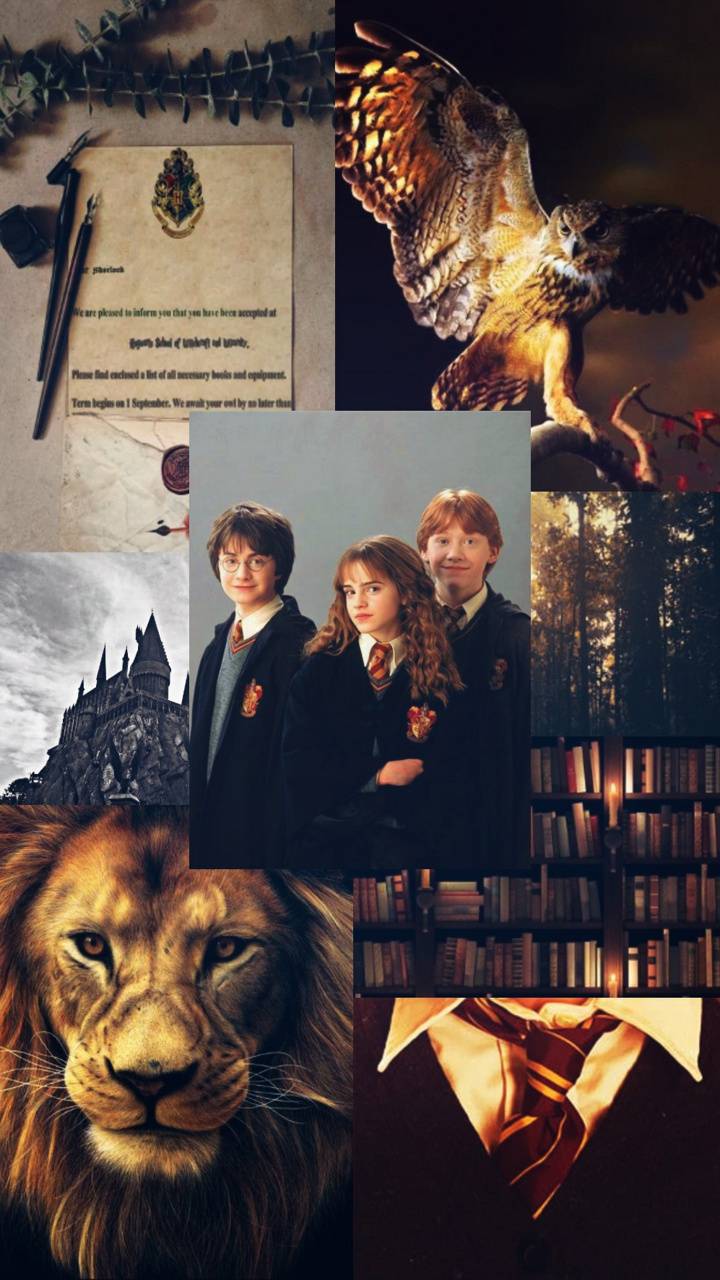 720x1280 Harry Potter Golden Trio Wallpaper