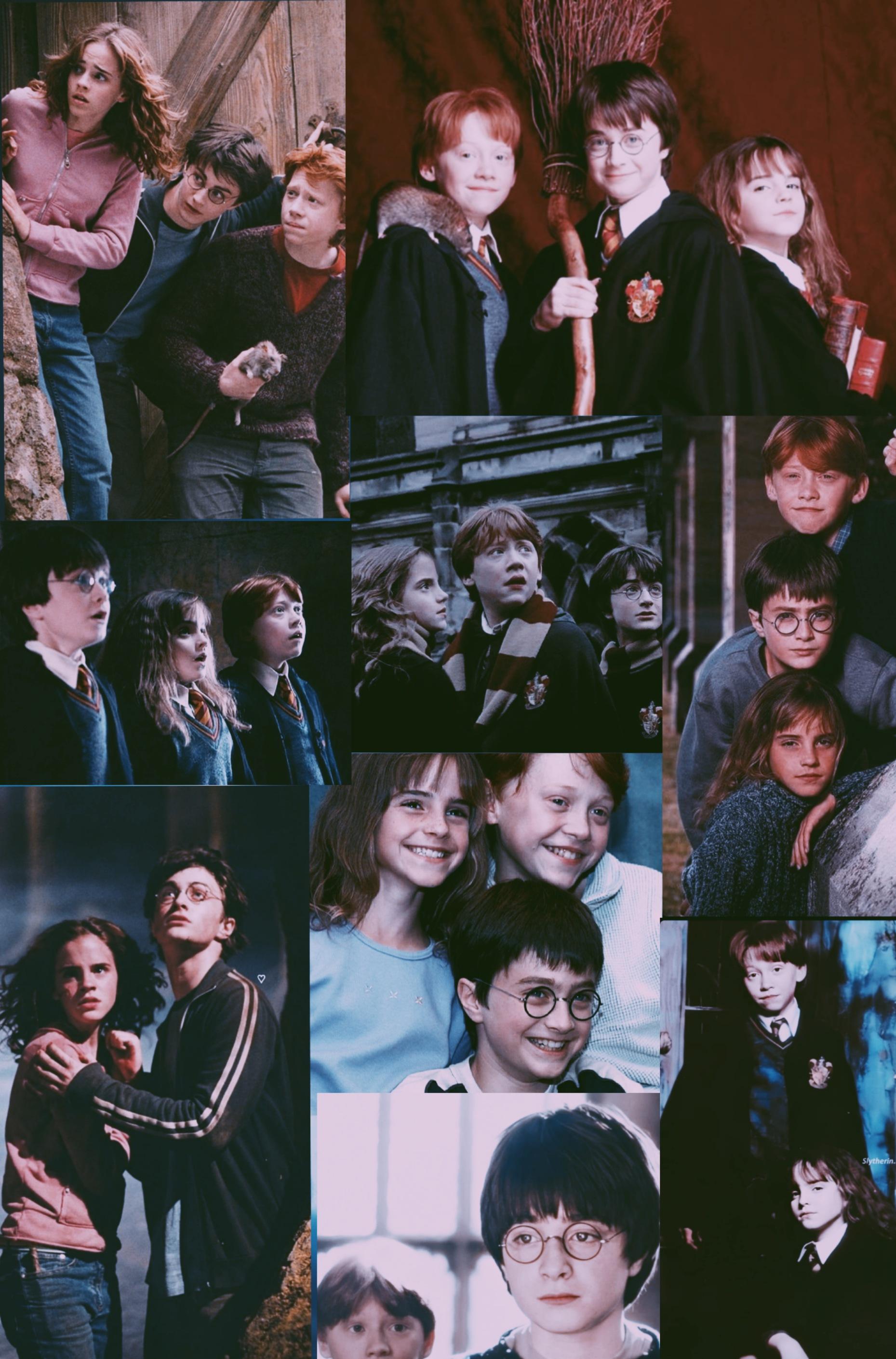 1859x2818 freetoedit gryffindor 330799568060201