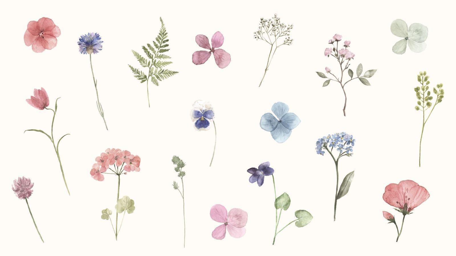 1600x900 Spring Wallpaper for Your Phone and Computer. Cute desktop wallpaper, Computer wallpaper desktop wallpaper, Desktop wallpaper simple