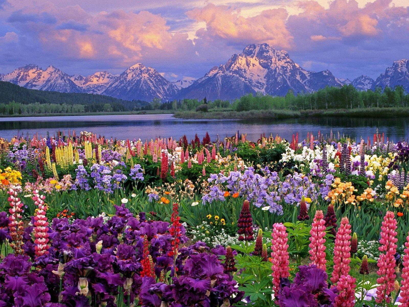 1600x1200 Spring Wallpaper for Desktop and Laptop Love Art