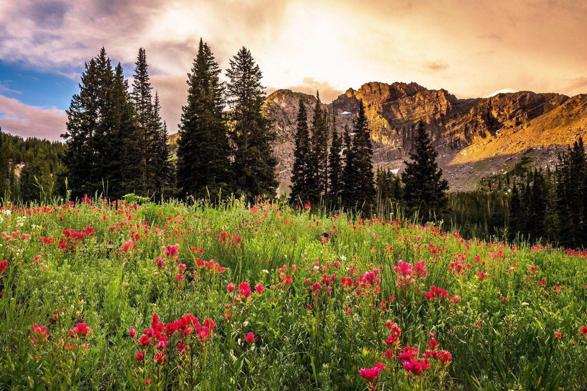 2048x1365 Utah Summer Wallpaper, HD Utah Summer Background