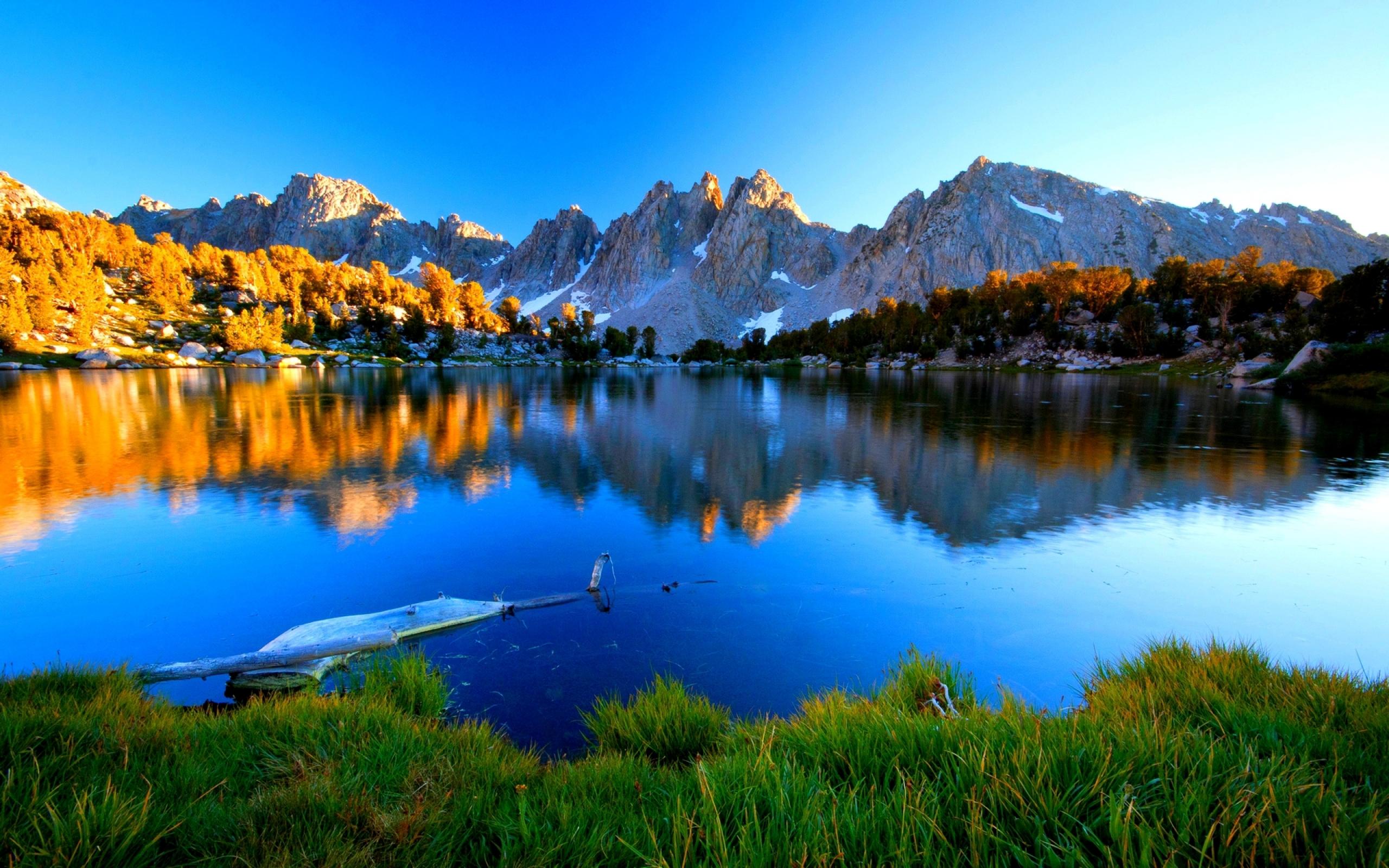 2560x1600 Summer Mountain Lake Shore With Green Grass Pine Trees Mountains Rocky Peaks With Snow Reflection In Lake Water Wallpaper With HD Resolution :