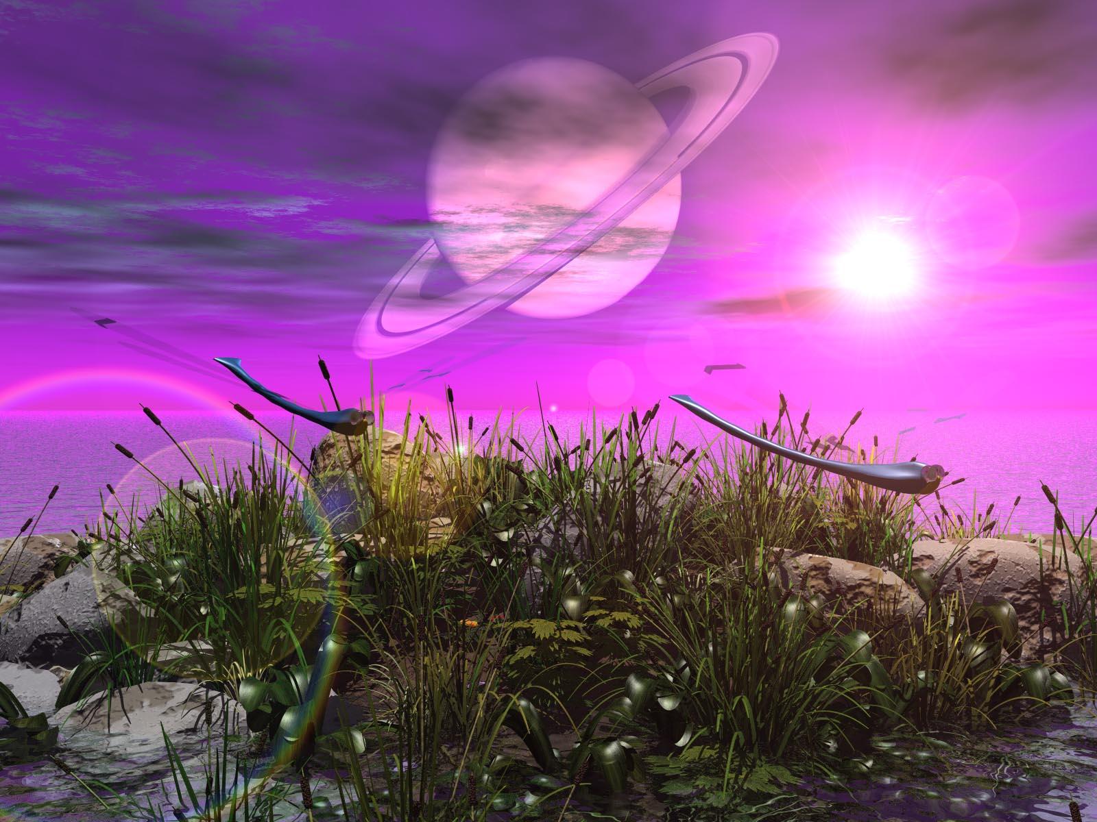 1600x1200 Beautiful Amazing Wallpaper, HD Beautiful Amazing Background on WallpaperBat