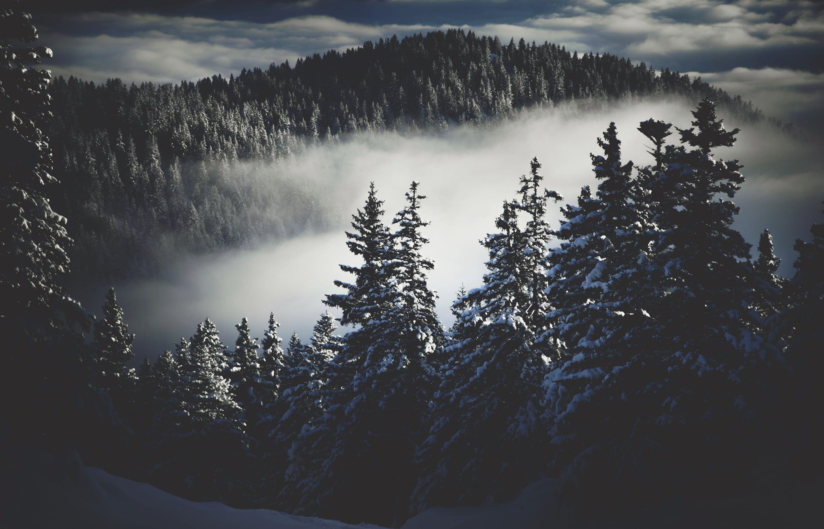 2656x1707 Dark Winter Wallpaper, HD Dark Winter Background