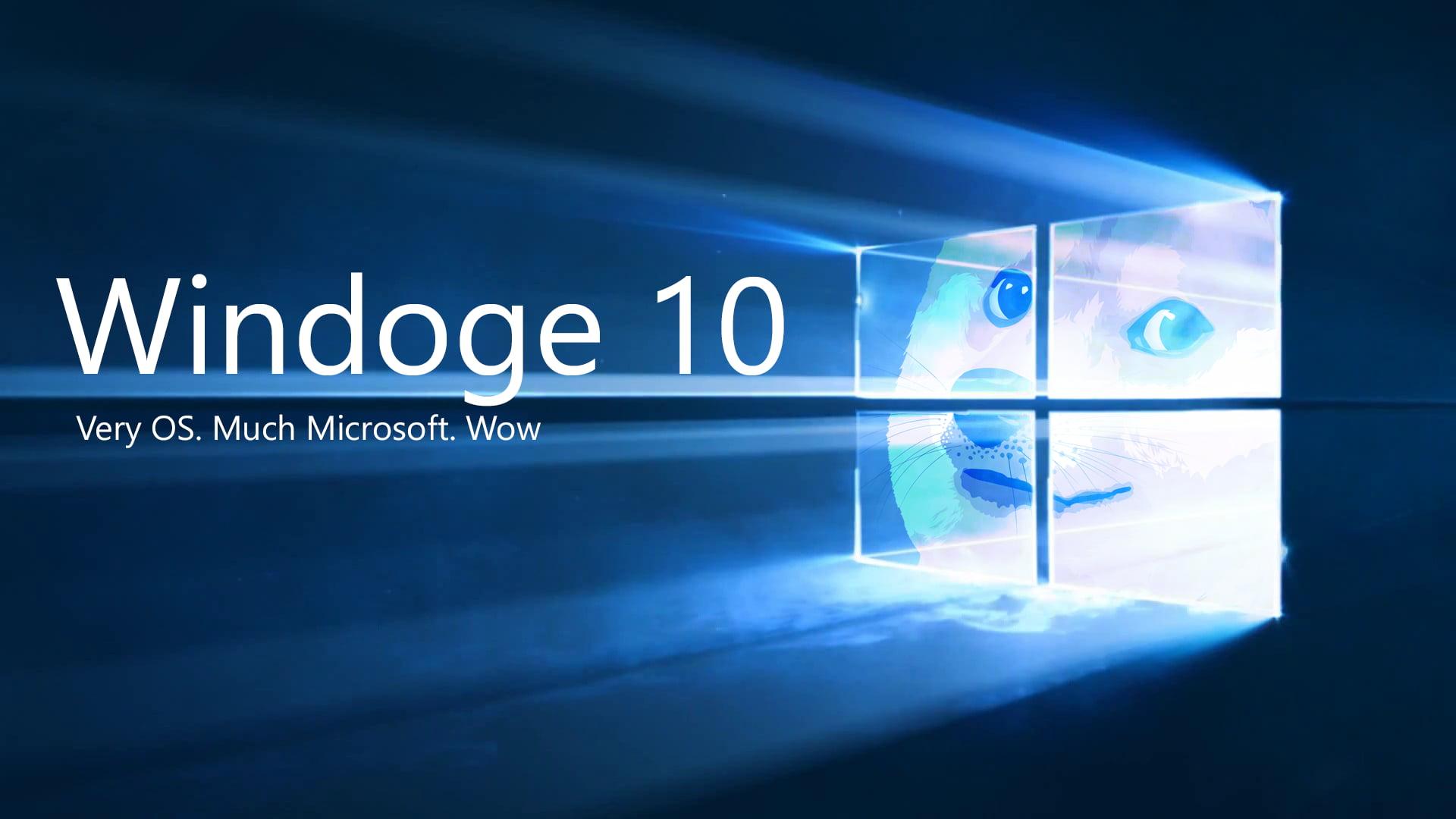 1920x1080 Windows 10 Background Meme