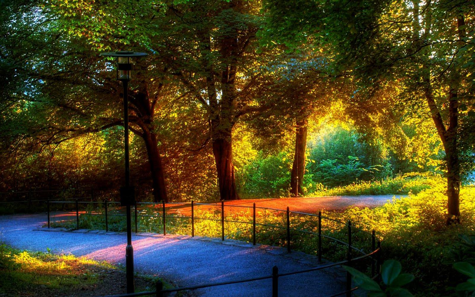 1600x1000 The Most Beautiful Wallpaper