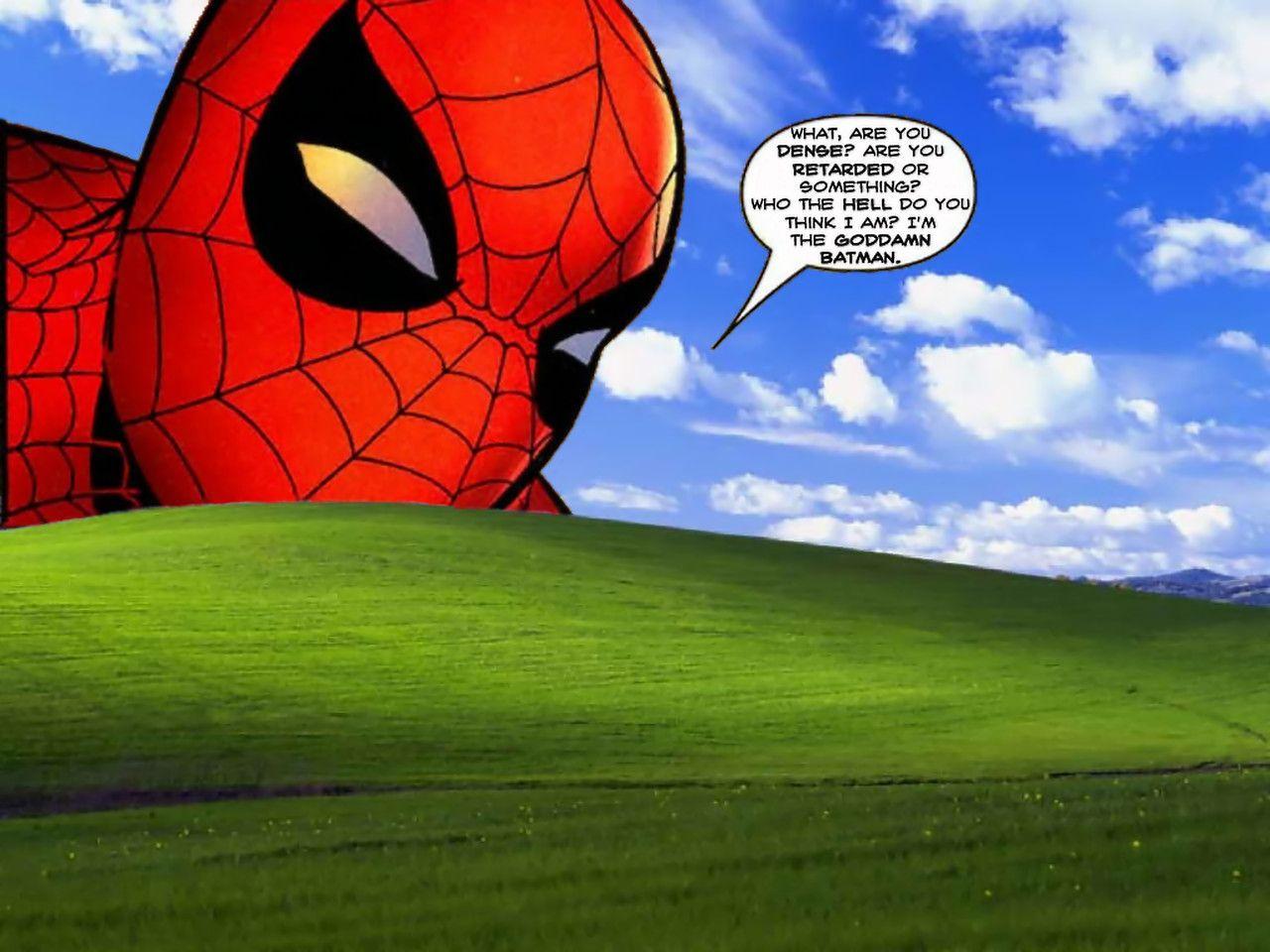 1280x960 Funny Windows Background
