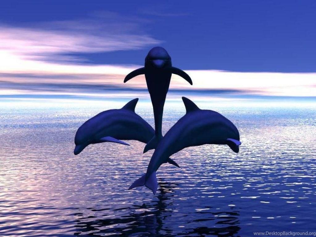 1024x768 DOLPHINS JUMPING OUT OF THE WATER WALLPAPER Desktop Background