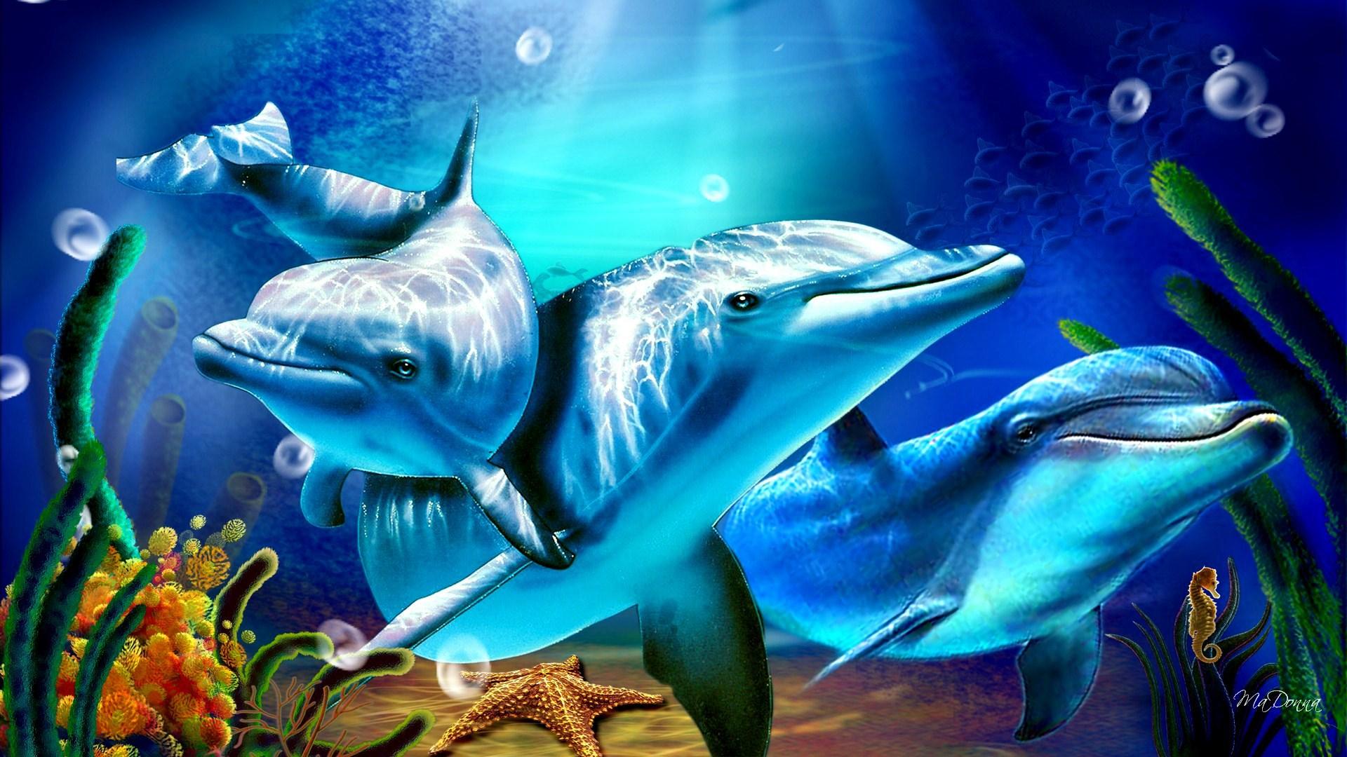 1920x1080 1920x1080 free computer wallpaper for dolphin JPG 441 kB