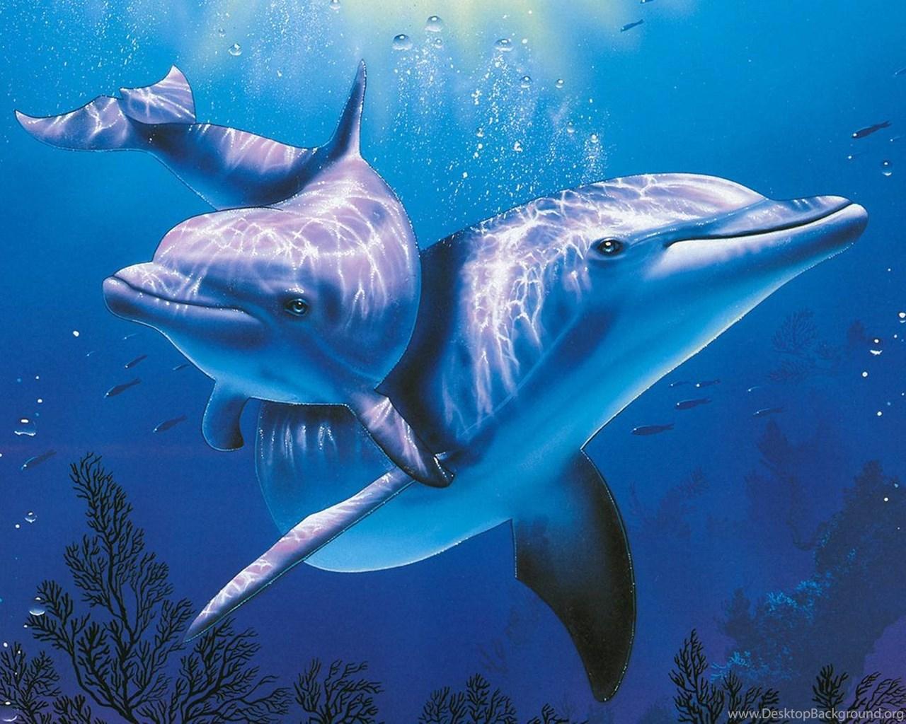 1280x1024 3D Dolphins Cartoon Wallpaper Picture Desktop Background