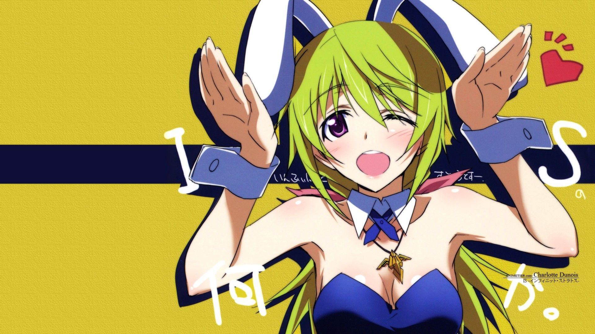 1920x1080 Charlotte Dunois Wallpaper