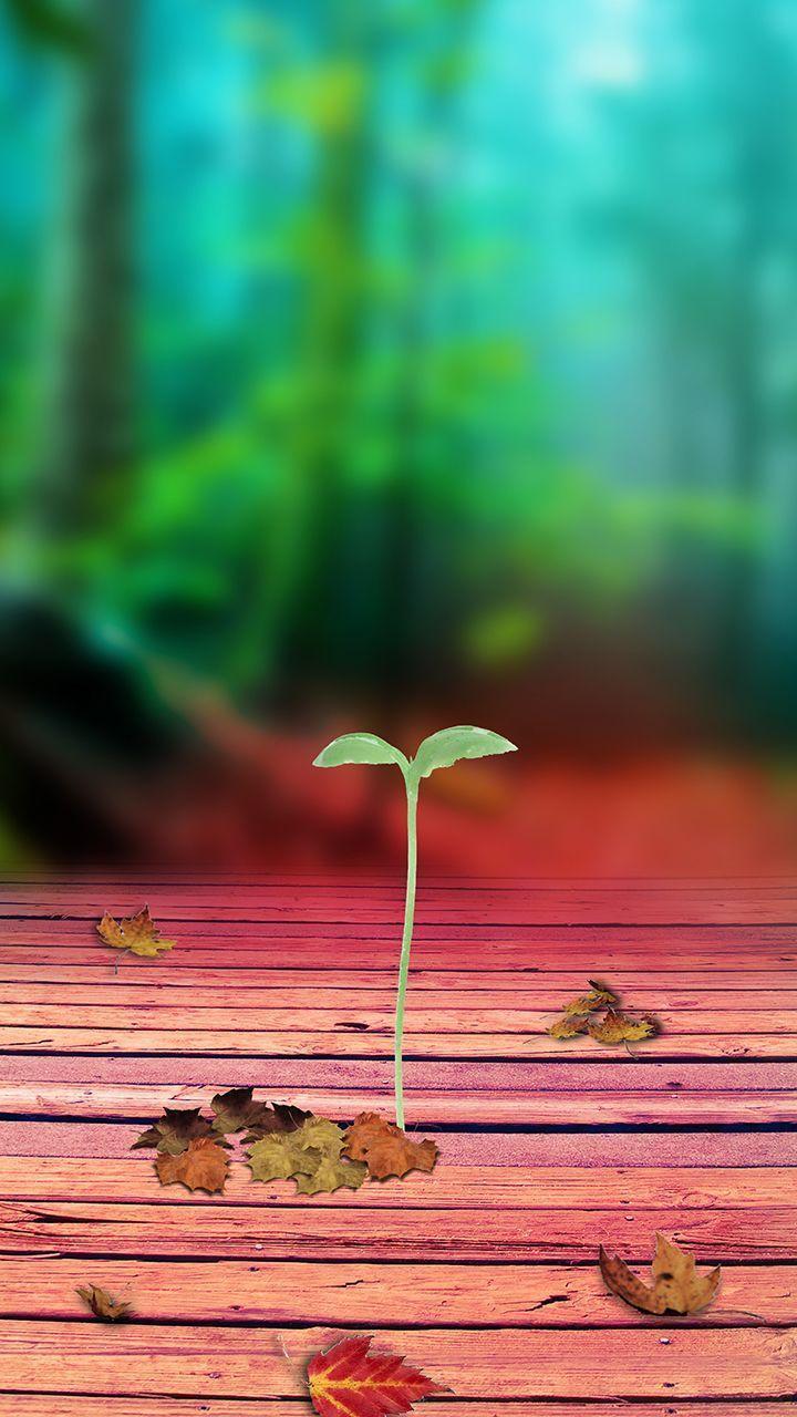 720x1280 21++ Nature Wallpaper For Samsung J8