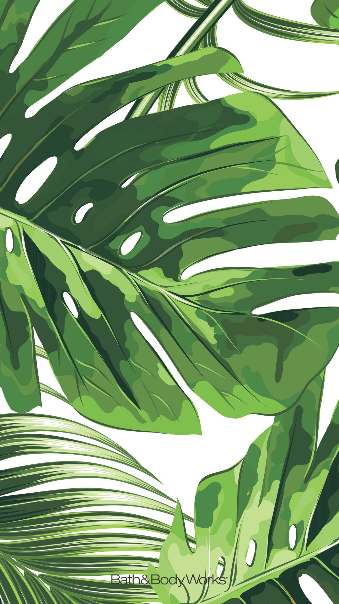 1080x1920 Monstera Leaves Wallpaper