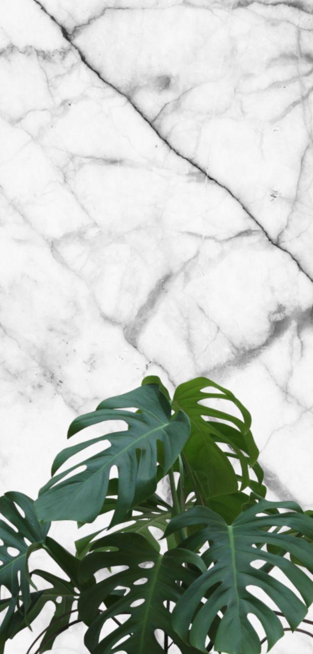 633x1321 Marble With Plant Wallpaper