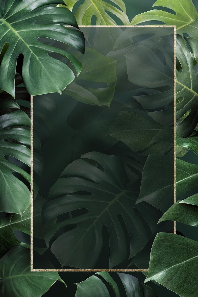 800x1200 Metallic Green Monstera Leaf Background Image. Free Vectors, PNGs, Mockups & Background
