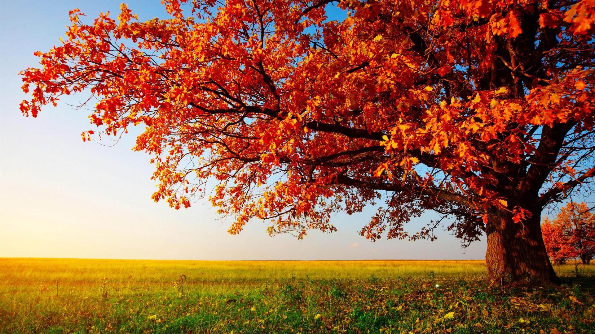 Autumn Weather Wallpapers - Top Free Autumn Weather Backgrounds ...
