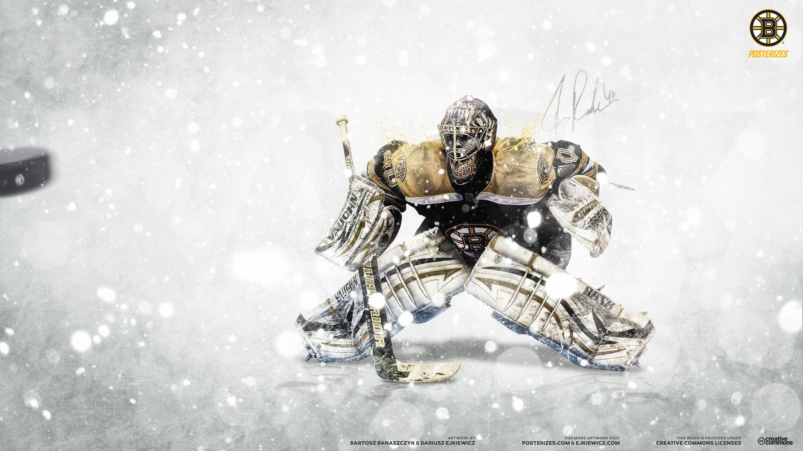 2560x1440 Goaltender Wallpaper