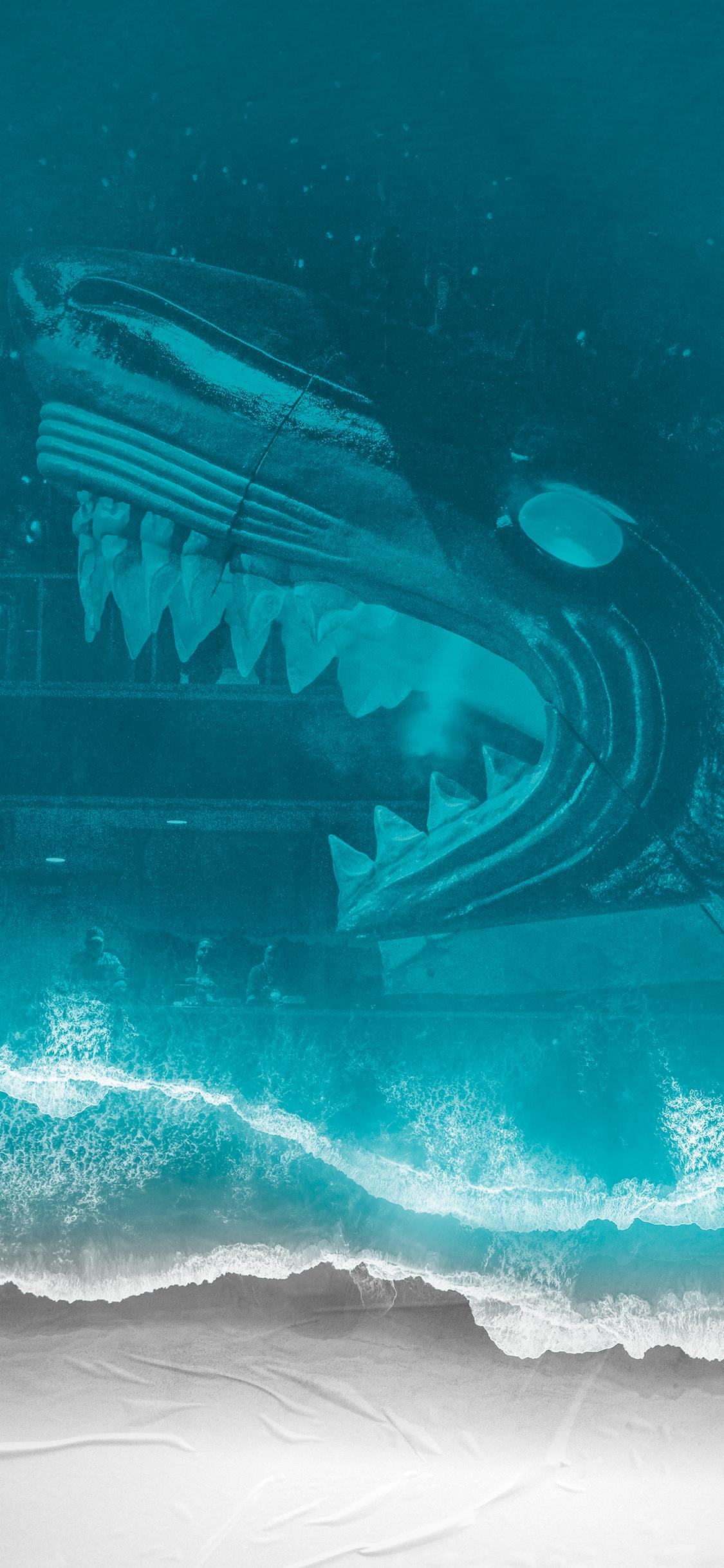 1125x2436 San Jose Sharks. San Jose Sharks