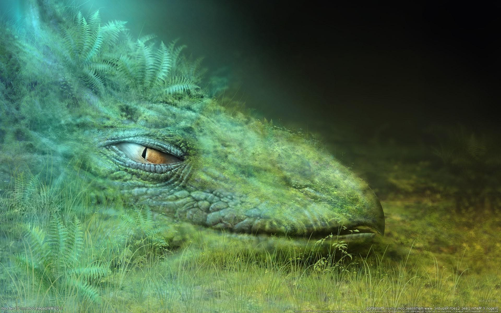 1920x1200 Komodo Dragon Eye