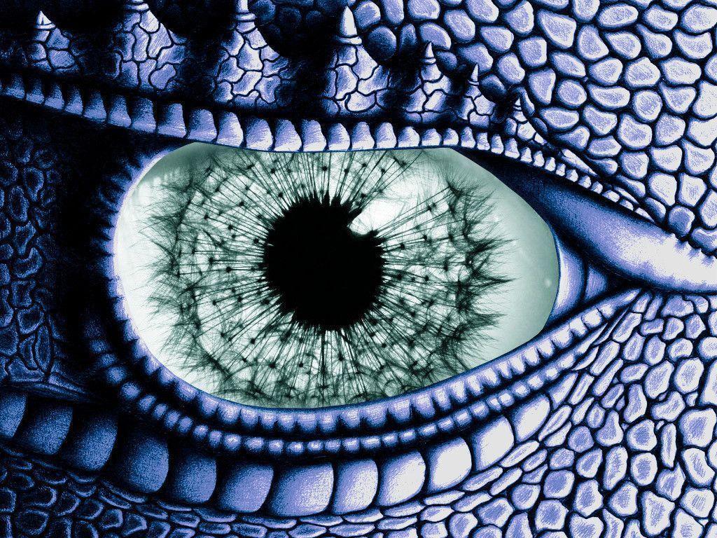 1024x768 Free download Dragon Eye Wallpaper [1024x768] for your Desktop, Mobile & Tablet. Explore Dragon Eye Wallpaper. HD Dragon Wallpaper, Dragon Wallpaper Free Download, Eye Wallpaper HD