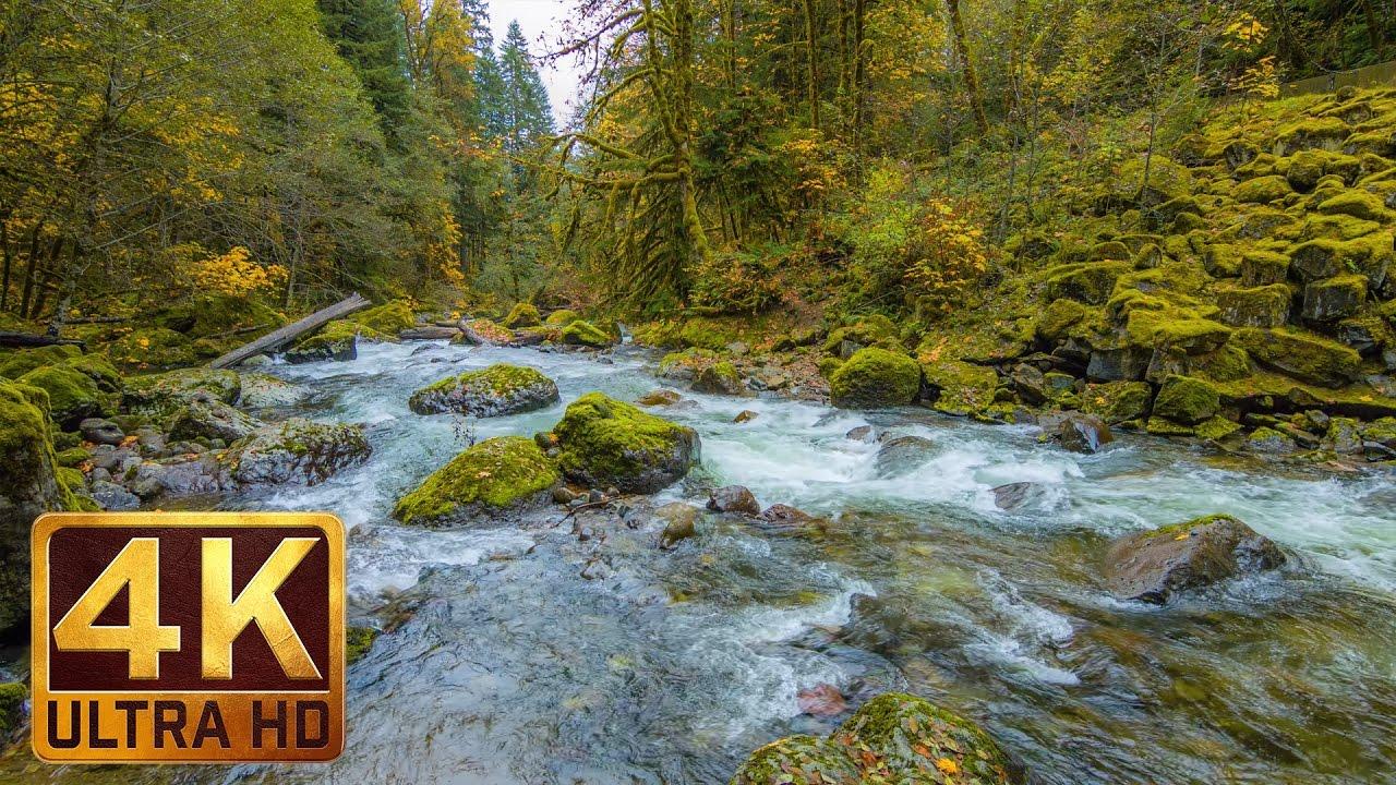 1280x720 Beautiful Nature Video in 4K (Ultra HD) River Sounds Hours Long