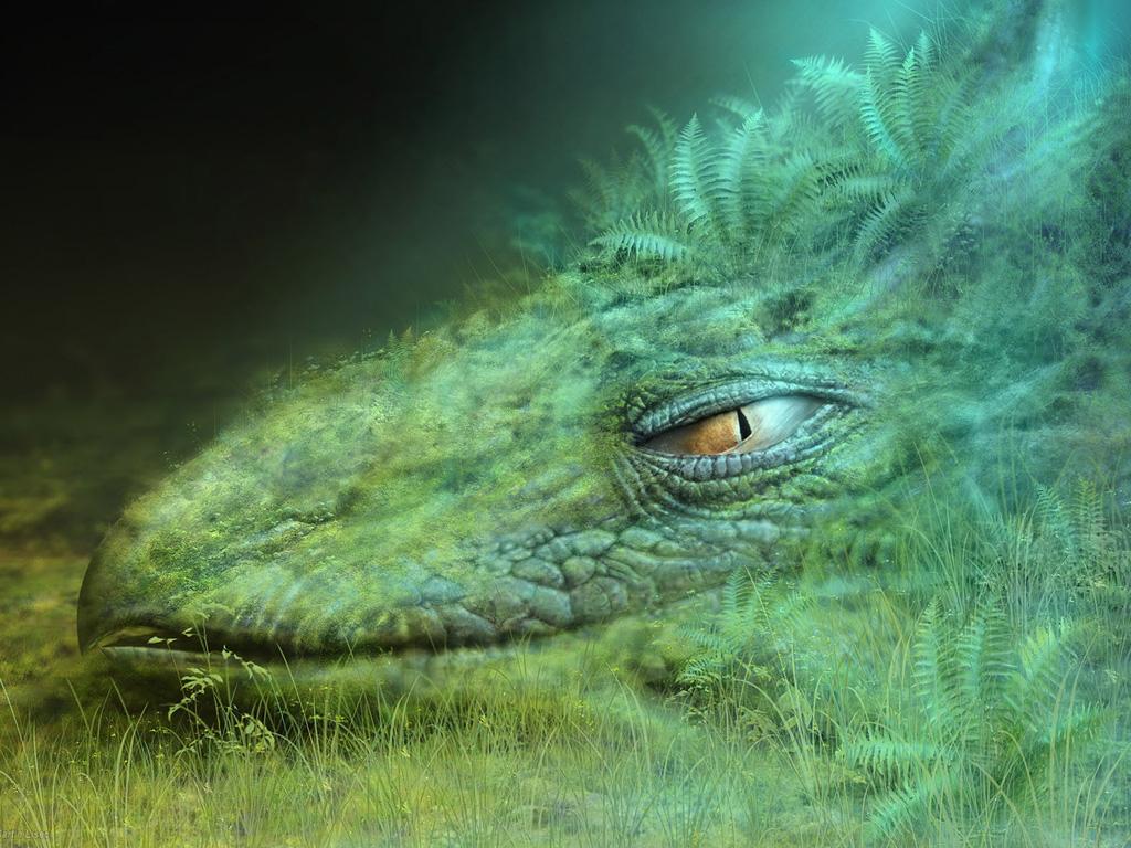 1024x768 Dragon Eye Wallpaper
