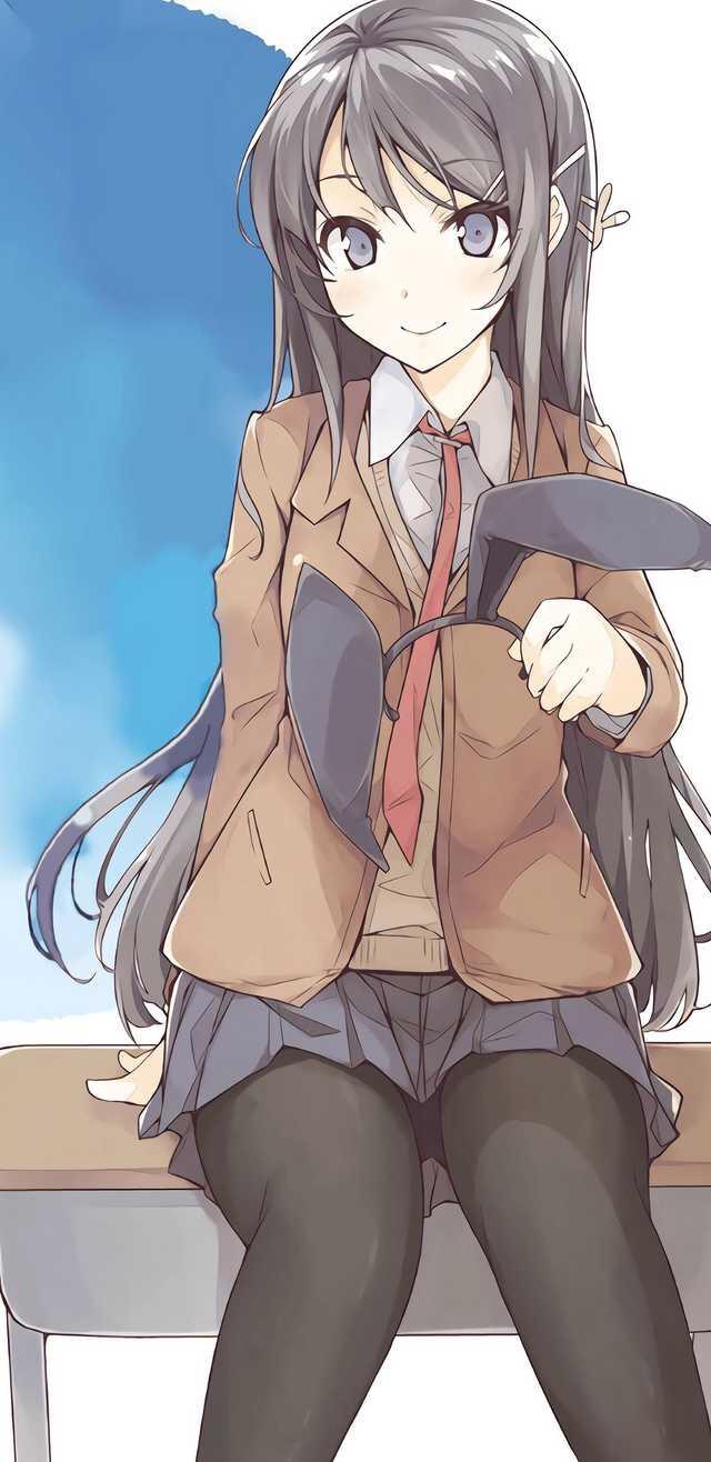 640x1316 iPhone Wallpaper (from LN cover): SeishunButaYarou