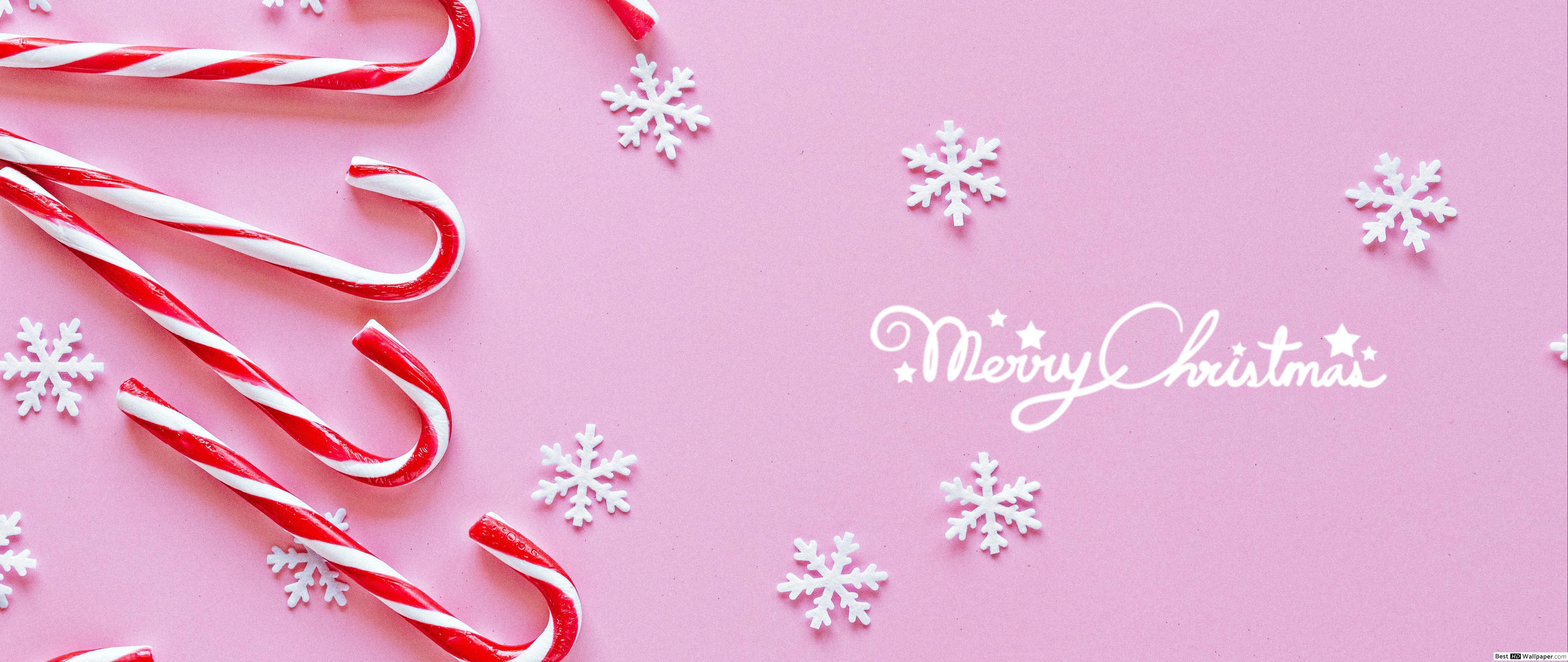 5120x2160 Merry Christmas greetings in pink background with candy cane and snowflakes HD wallpaper download