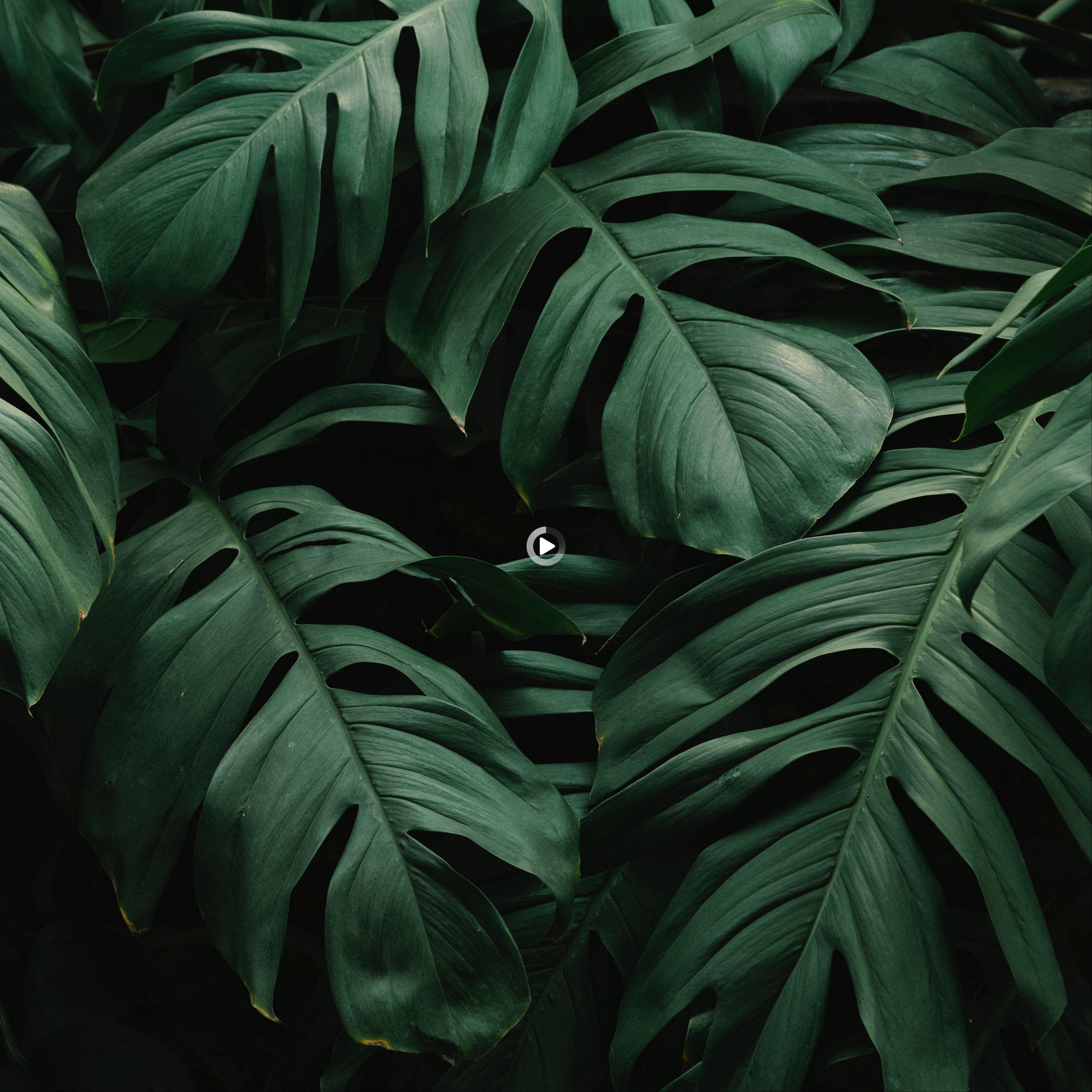 2780x2780 Redirecting. iPad mini wallpaper, iPad air wallpaper, iPad pro wallpaper