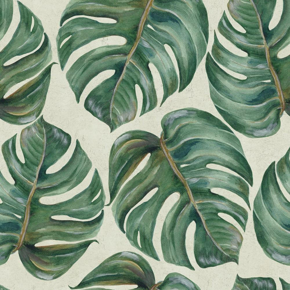 1000x1000 Tropical Leaf Wallpaper