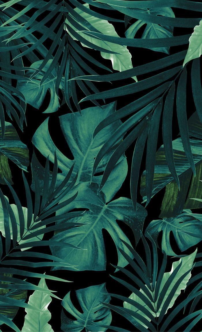 700x1149 Tropical Jungle Night Leaves Pattern #tropical #decor #art #society6 Window Curtains. การถ่ายภาพธรรมชาติ, ภาพธรรมชาติ, รูปภาพ