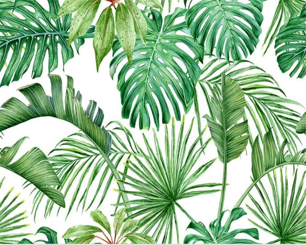 1000x800 Tropical Plants Wallpaper, HD Tropical Plants Background on WallpaperBat
