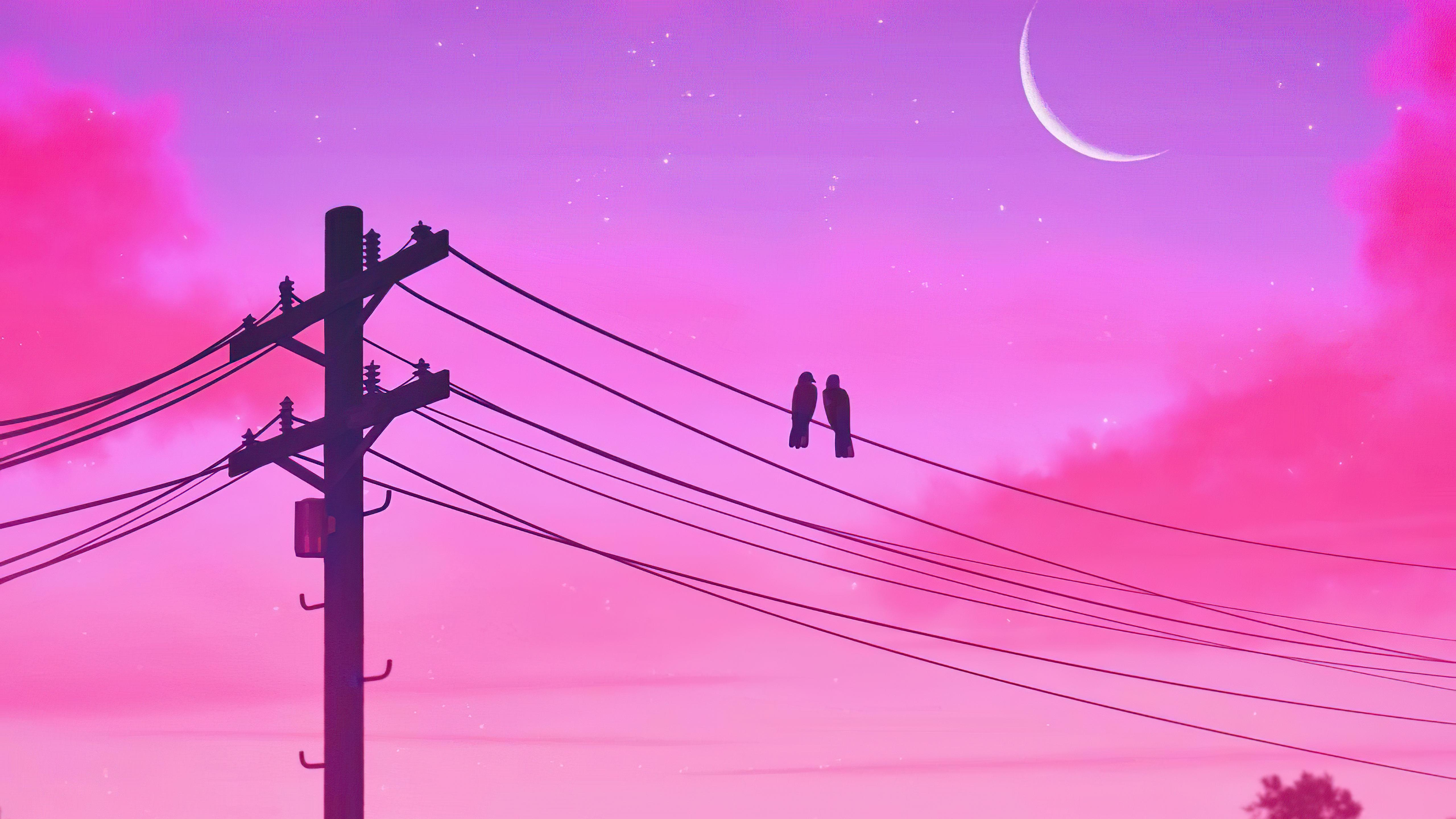 5120x2880 Birds Sitting On Electric Power Poles Lines Twilight 5k, HD Artist, 4k Wallpaper, Image, Background, Photo and Picture