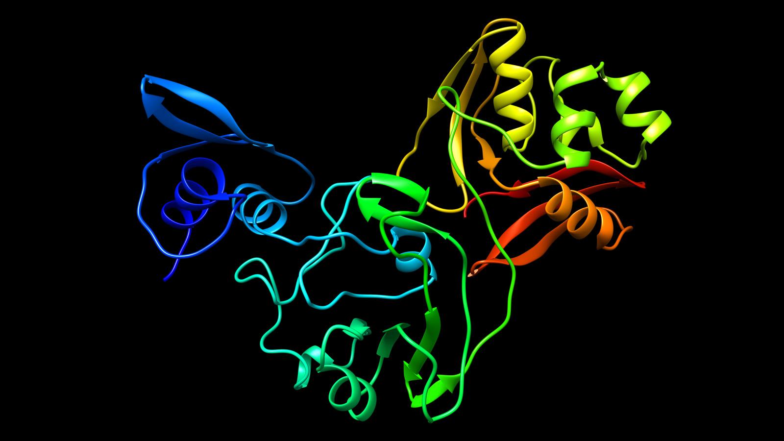 1600x900 New coronavirus protein reveals drug target. Argonne National Laboratory