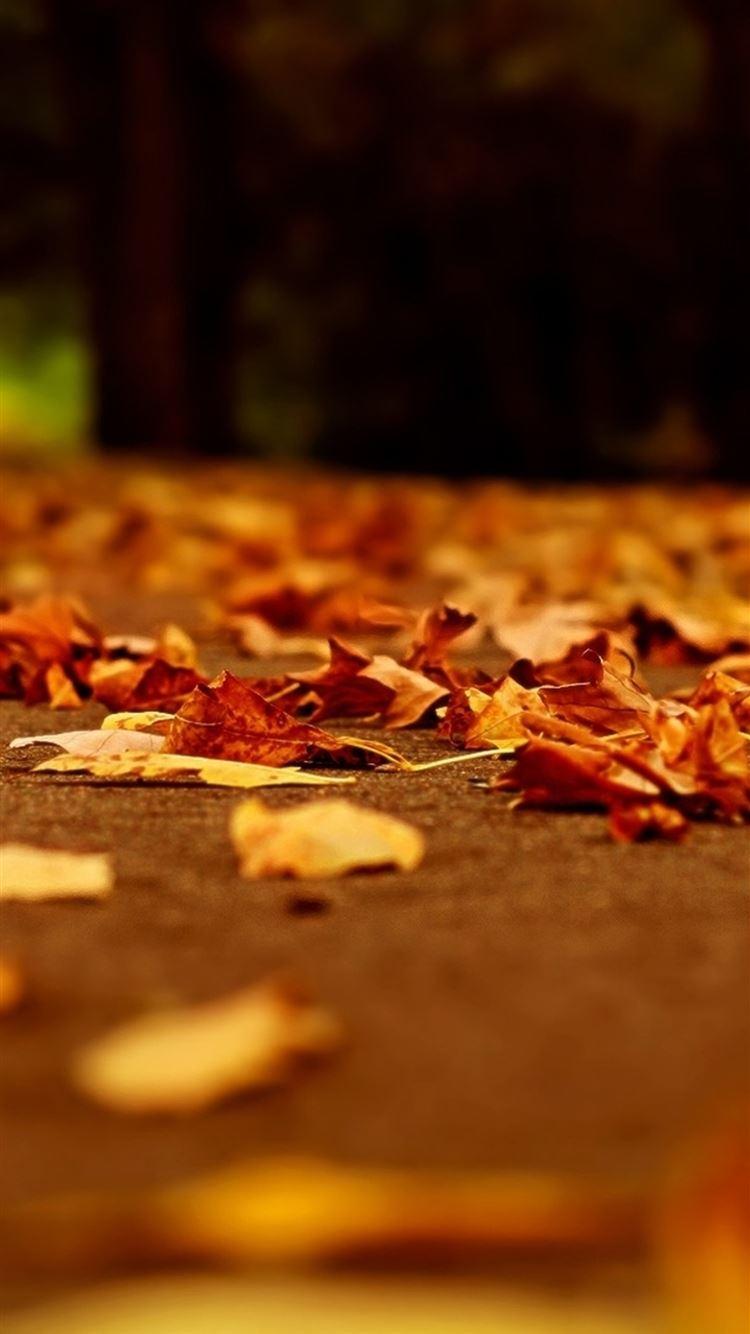 750x1334 Nature Fall Orange Leaves Road Bokeh iPhone 8 Wallpaper Free Download