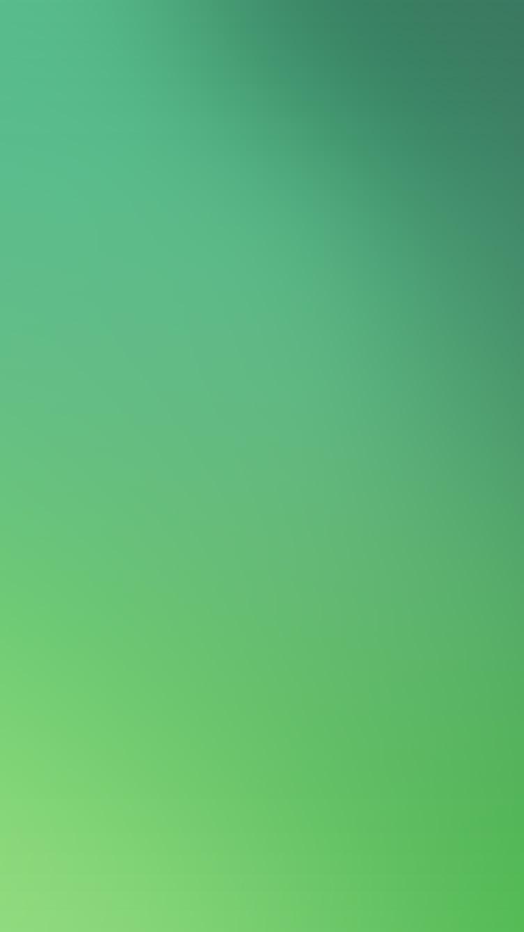 750x1334 iPhone 6 Wallpaper leaf nature gradation blur