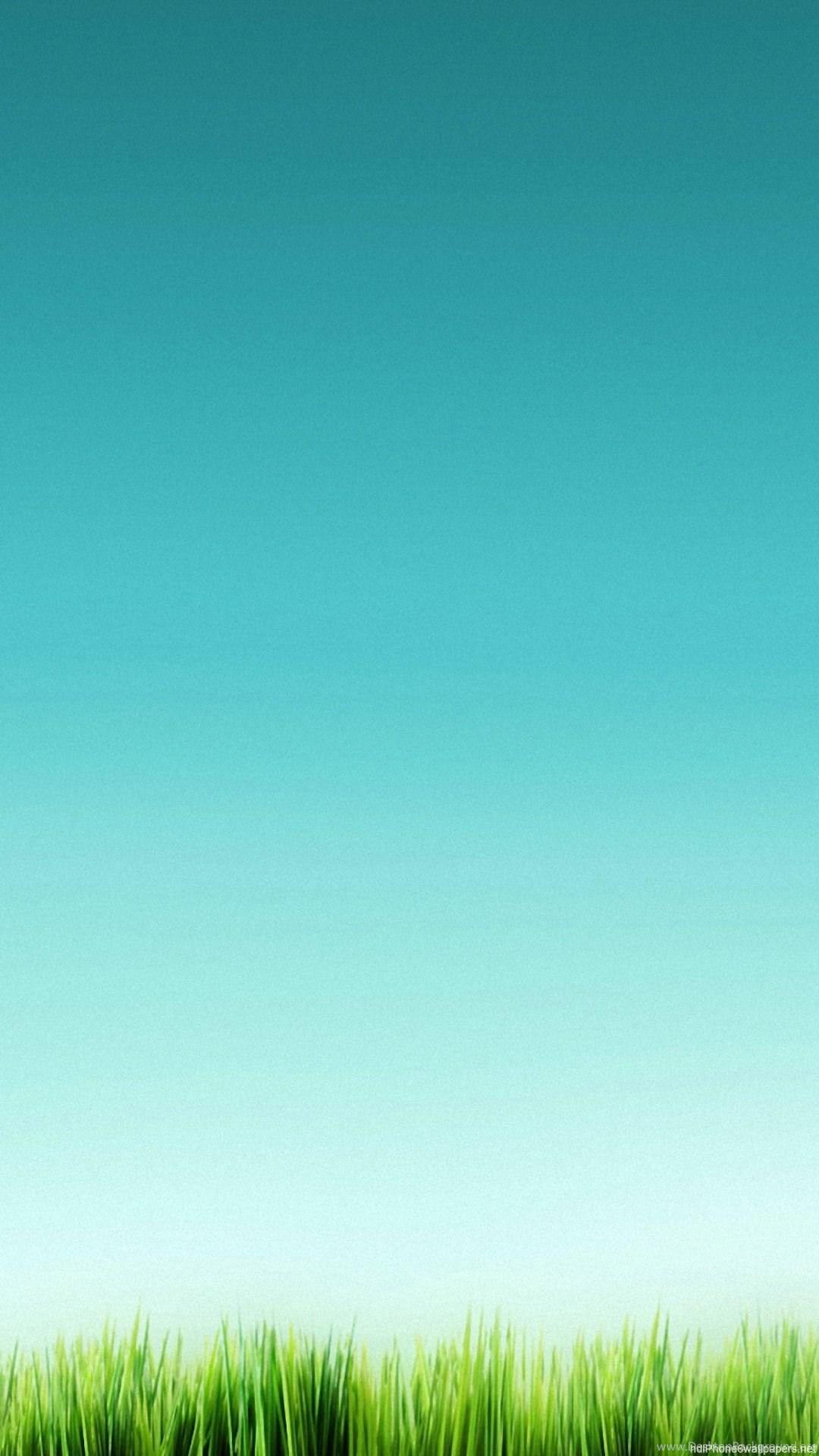 1080x1920 Grass Field Sky Green iPhone 6 Wallpaper HD And 1080P 6 Plus. Desktop Background