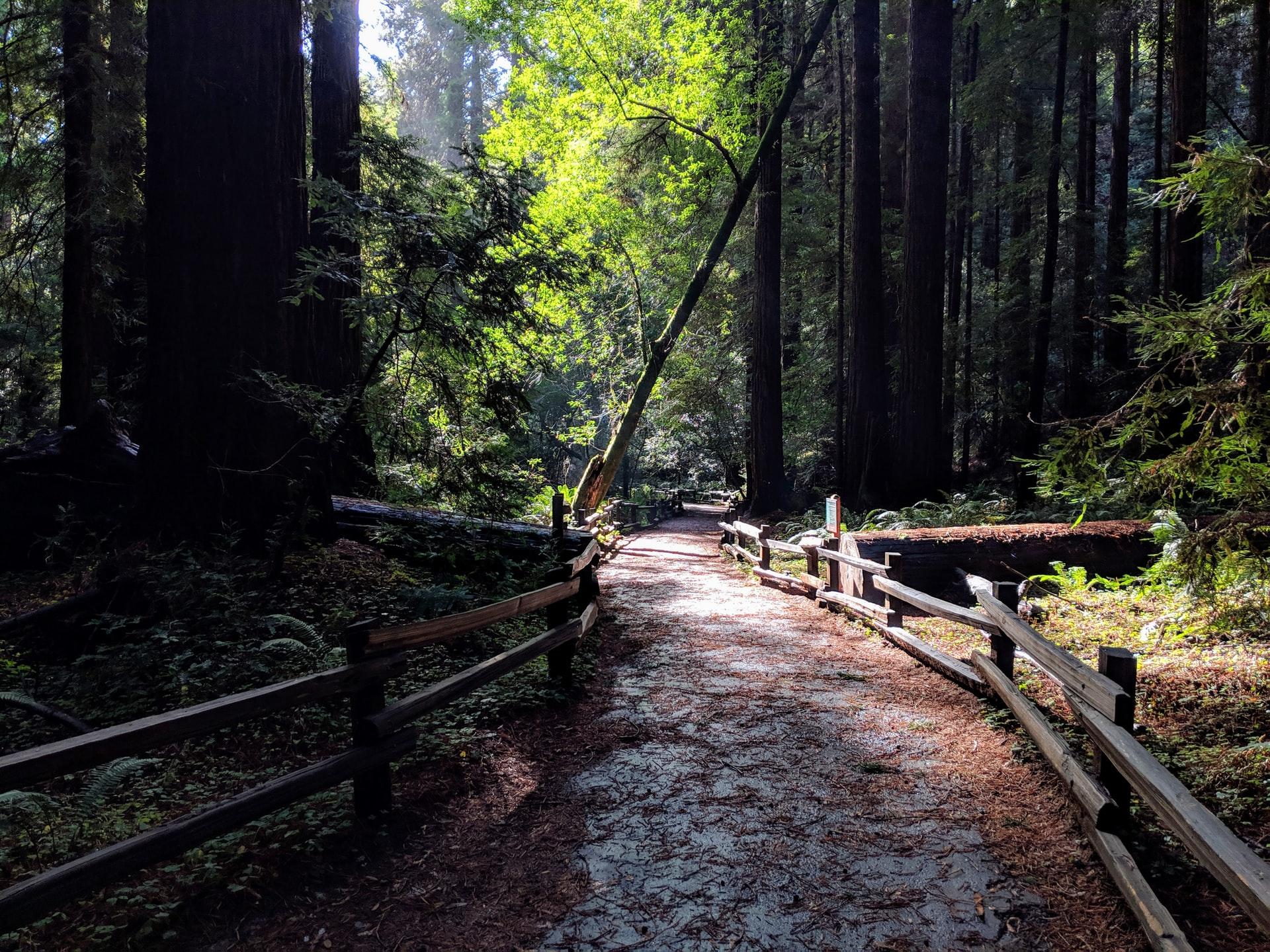 1920x1440 Tourism Update from Visit Santa Cruz County Lorenzo Valley Post