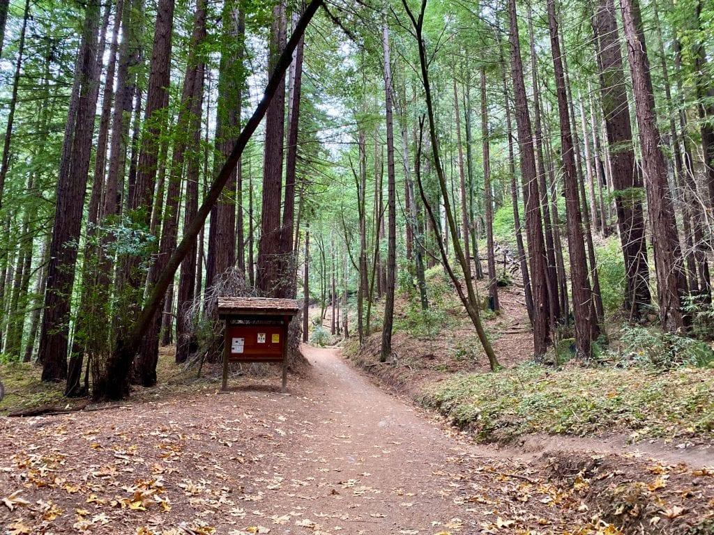 1024x768 Winter Hikes in the Santa Cruz Mountains Inspired