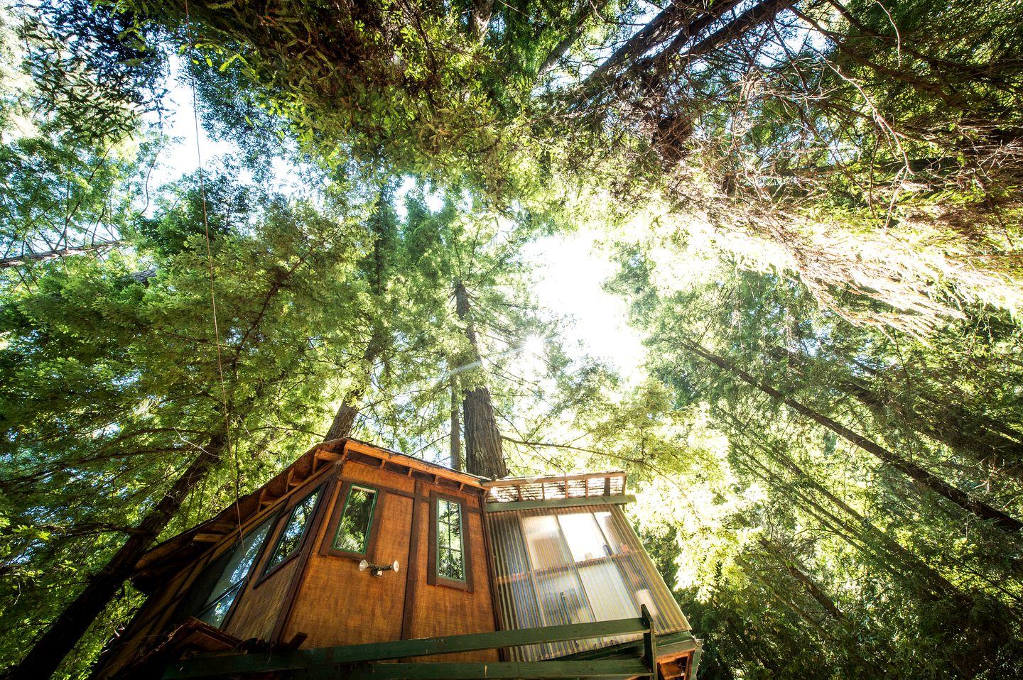 1440x958 Glamping Treehouse Hotel. Santa Cruz, Monterey Bay California